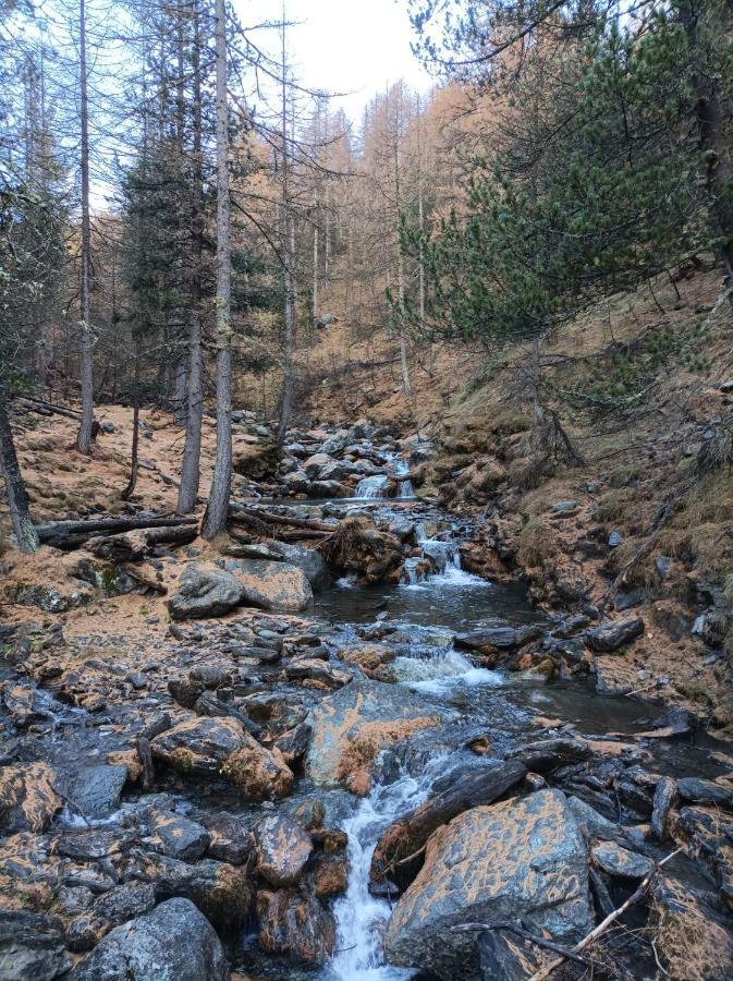 Les Hauts Du Roux Abriès Eksteriør billede