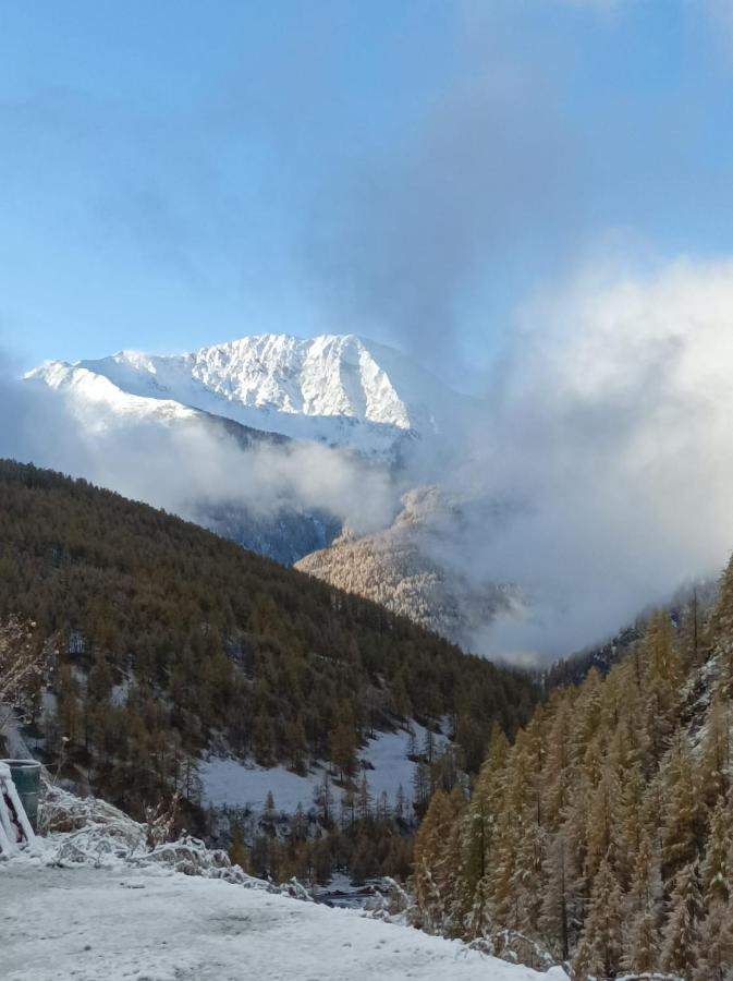 Les Hauts Du Roux Abriès Eksteriør billede