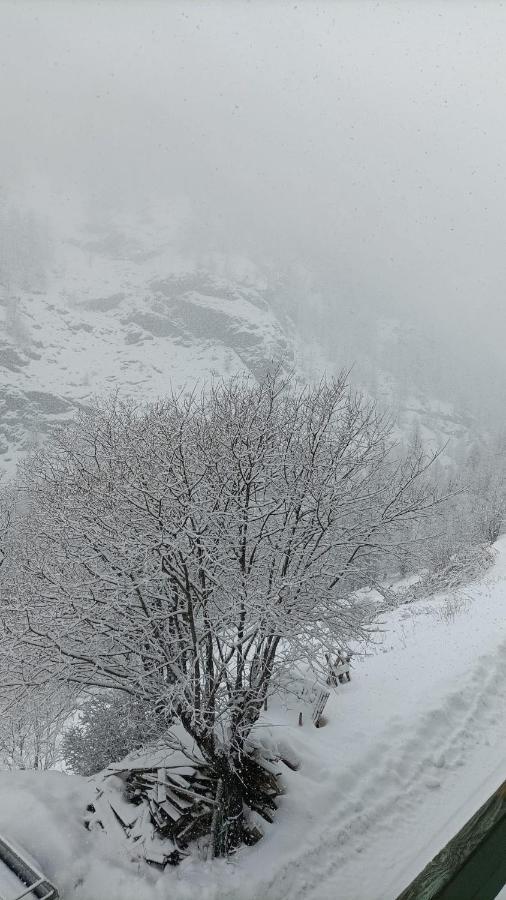 Les Hauts Du Roux Abriès Eksteriør billede